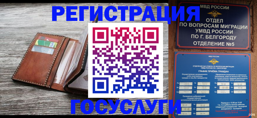 временная регистрация гарантия в Светлом